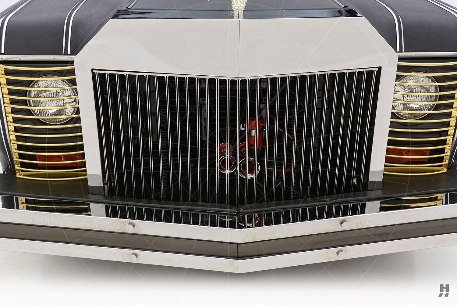 Mohs Safarikar grille Pic: Hyman Ltd | Mohs Safarikar grille