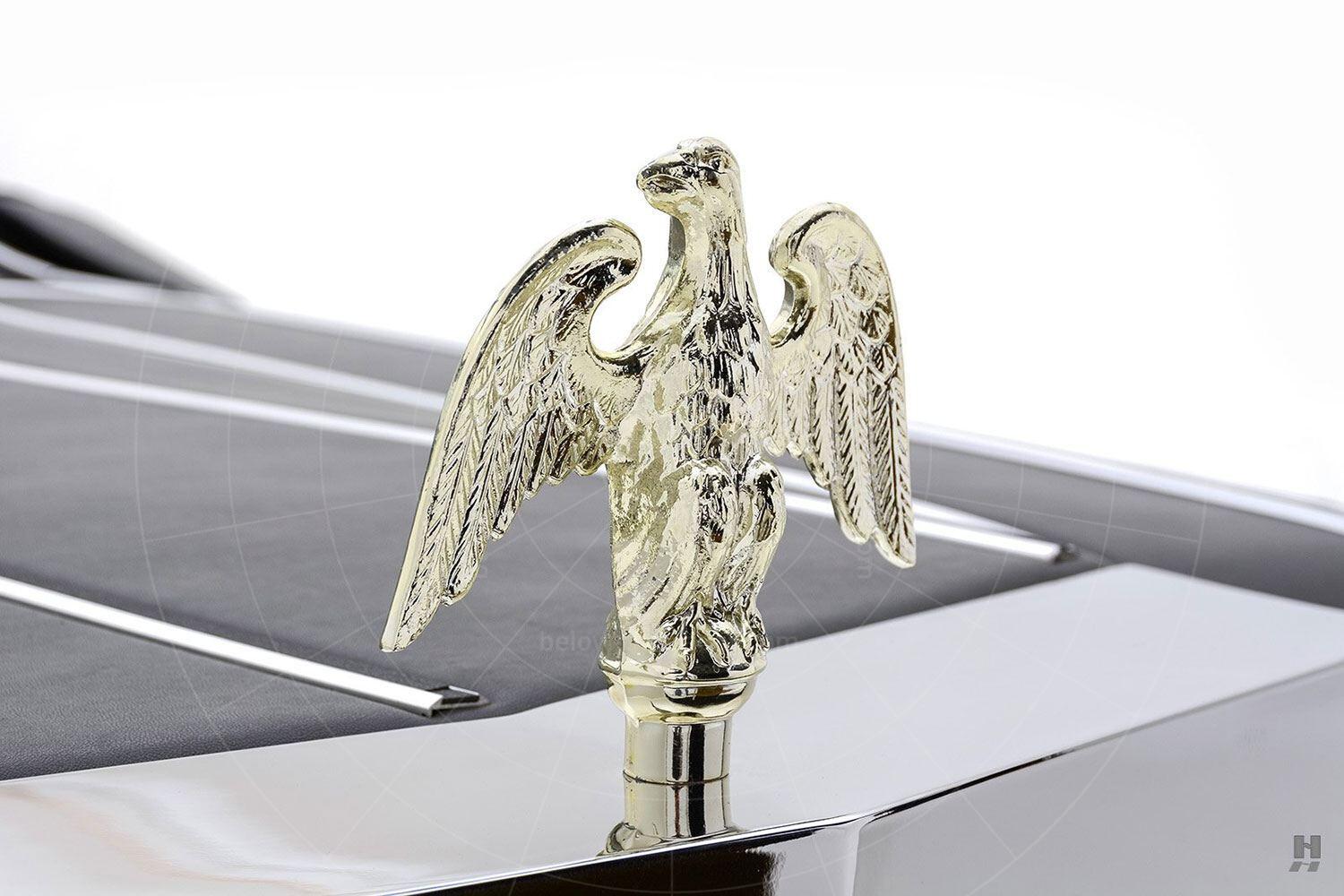 Mohs Safarikar bonnet mascot Pic: Hyman Ltd | Mohs Safarikar bonnet mascot