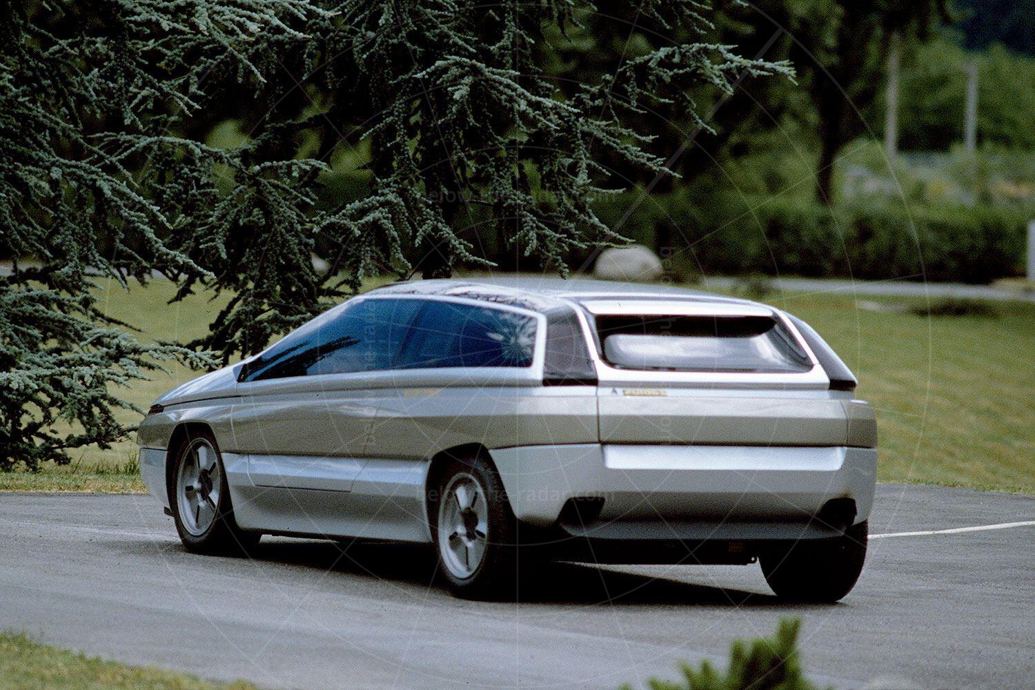 Bertone Zabrus Pic: magiccarpics.co.uk | Bertone Zabrus