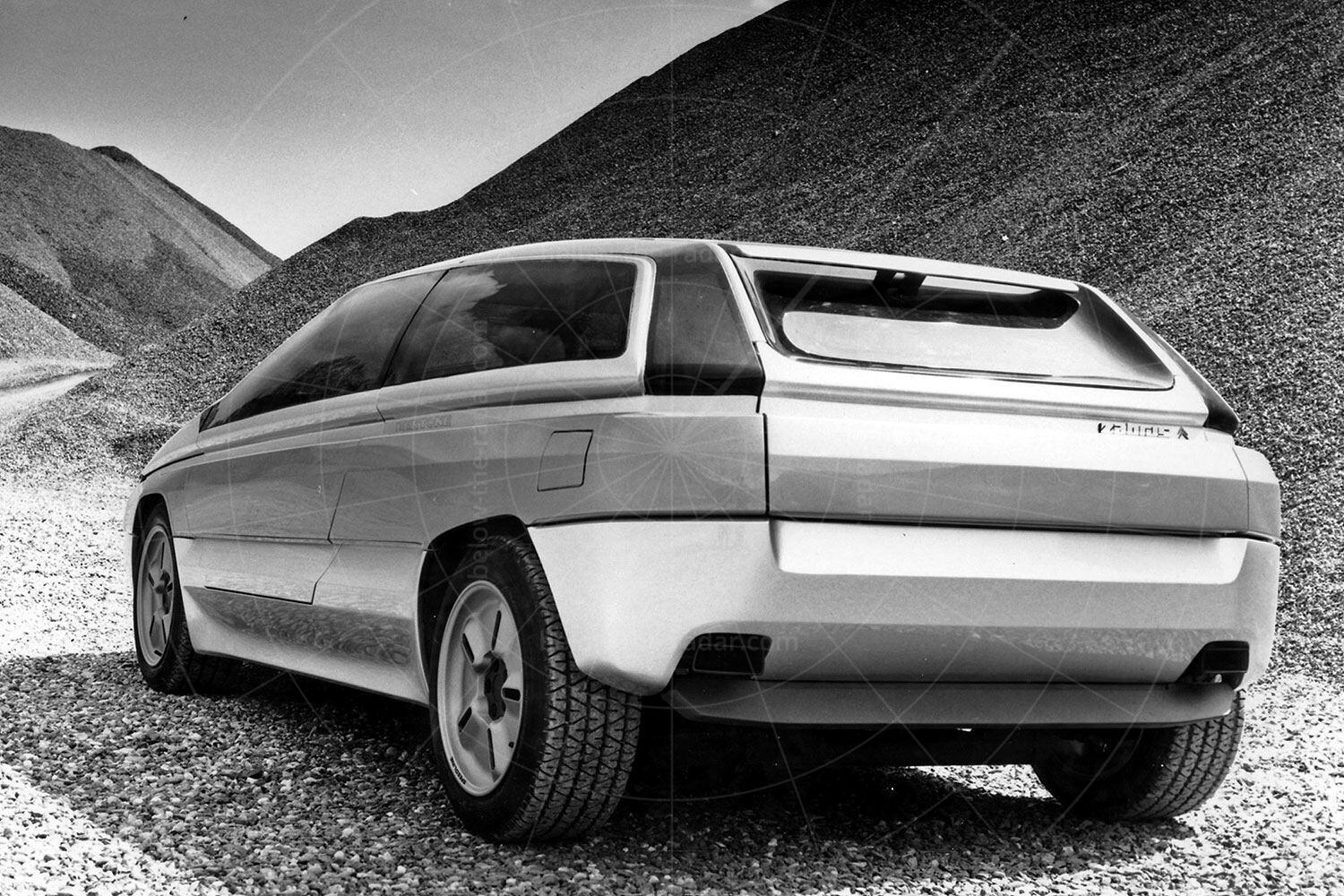 Bertone Zabrus Pic: magiccarpics.co.uk | Bertone Zabrus