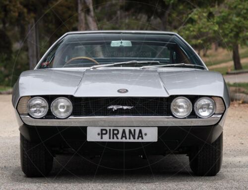 Bertone Pirana